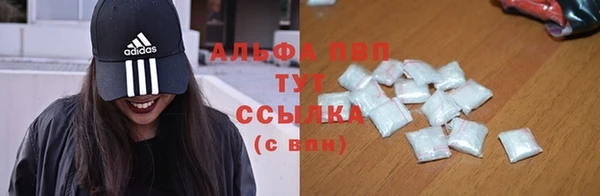 соль ск Алзамай